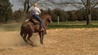 Reining Horse Moves at Highwind Farm by Susan Lomangino [upl. by Stu]