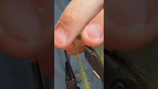 Olive ragworm flytying flytyingaddict flytyingtutorial ahrexhooks shorts flyfishing fishing [upl. by Darryn169]