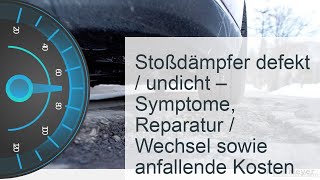 Stoßdämpfer defekt  undicht  Kosten » Symptome » Reparatur [upl. by Fleurette172]