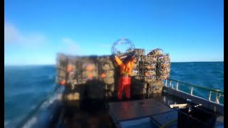 2024 Dungeness Crab Fishing NIGHT FIGHTER Trip 4 Stack them up [upl. by Terry93]