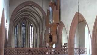 Johann Staden 15811634 Allamanda varirt Renaissance organ of Predigerkirche BaselSwitzerland [upl. by Sergent]