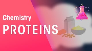 Proteins  Organic Chemistry  Chemistry  FuseSchool [upl. by Earased]