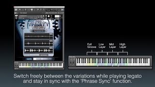 TRINITY DRUMS  Tutorial • Performance [upl. by Assek705]