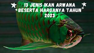 13 Jenis Ikan Arwana Beserta Harganya Tahun 2023 [upl. by Nnybor]