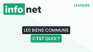 Les biens communs cest quoi  définition aide lexique tuto explication [upl. by Ecnarual]