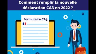 Remplir sa déclaration CA3 [upl. by Anikram]