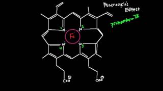 Macrocyclic Effect [upl. by Kramlich202]