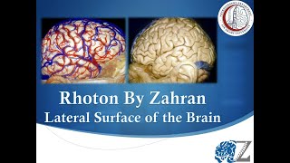 Rhoton By Zahran 4 Lateral Surface of the Brain [upl. by Lindsley]