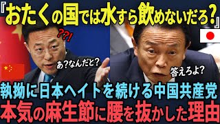 遂にブチギレ 日本人ヘイトを進める中国共産党へ麻生節が爆裂し、5秒で完全論破された理由 【海外の反応】 [upl. by Sauers]