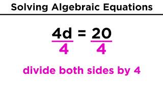 Algebraic Equations and Their Solutions [upl. by Angil]