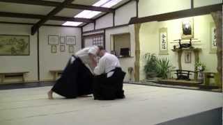 Ryote Dori Tenchi Nage Variations [upl. by Christoper518]