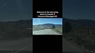 Osoyoos 🇨🇦 canada like share fyp beautiful okanagan follow [upl. by Ellemac]