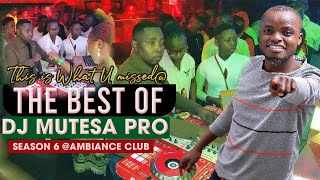 The Best of DJ MUTESA PRO Season 6 at Club Ambiance 2024 official Performance video [upl. by Areek]