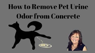 Remove Pet Urine Odor From Concrete [upl. by Naejeillib]