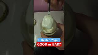 L Reuteri Yogurt 4th batch DIY Yoghurt making at home Dr Davis recipe lreuteri reuteriyogurt [upl. by Aicyle71]