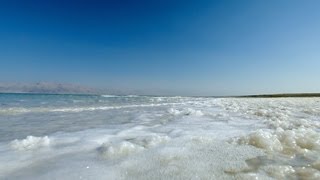 Stock Footage of Dead Sea waves on the salty shore in Israel [upl. by Ojillek]