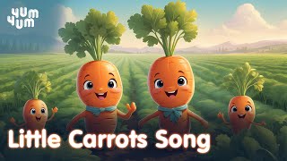 Little Carrots Song  Fun Kids Song and Dance  Nursery Rhymes for Children YumYumDreamWorld [upl. by Aniri]