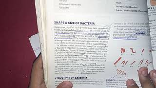 introduction to bacteriology  Structure of bacteria  general bacteriology  microbiology [upl. by Gomez875]