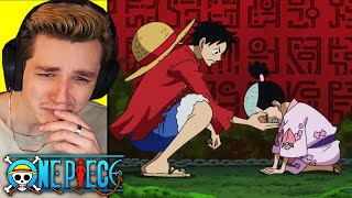 MOMONOSUKE ASKS LUFFY one piece reaction [upl. by Aimej]