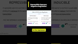 TRP Repressible Operon A type of Negative Gene Regulation [upl. by Noicpesnoc991]