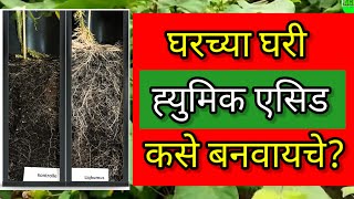 घरच्या घरी बनवा हुमिक ऍसिड  Humic acid kaise banaye  Homemade humic acid  humicacid ह्युमिकऍसिड [upl. by Ierdna]