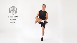 Exercise Library Bodyweight Bicep Curls [upl. by Anayk288]