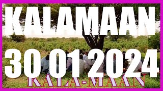 KALAMAAN 30 JANUARY 2024 [upl. by Gula157]