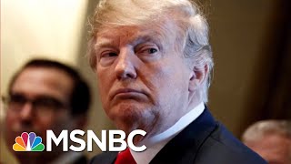 President Donald Trumps DueProcess Ignorance  Deadline  MSNBC [upl. by Eidur770]