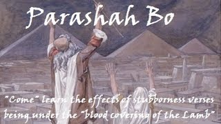 15  Torah Parashah Bo Come [upl. by Dnomsaj344]