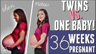 TWINS VS ONE BABY Comparing my Pregnancies  WEEK 36 UPDATE [upl. by Eimrots]