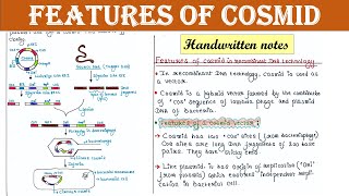 Features of cosmid vectors used in rDNA technology  Advantages  Cosmid vs plasmid [upl. by Mcbride]