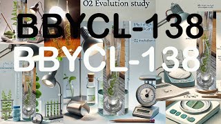 BBYCL 138 EXP To Study the Effect Light Intensity and Bicarbonate Conc O2 Evol in Photosynthesis [upl. by Tavey]