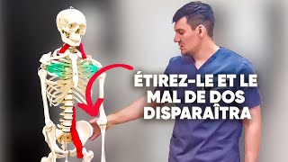 Étirez ce muscle et oubliez les douleurs dorsales Nattendez pas faitesle maintenant [upl. by Dettmer454]