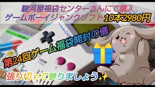 【第24回ゲーム福袋開封の儀】駿河屋福袋センターさんにて購入！GBジャンクソフト10本2980円開封しましょう！ [upl. by Voletta]