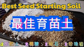 💯如何在家制作育苗土？Diy Seed Starting Soil🌱便宜·轻盈·吸水·保水·排水·通风😍 [upl. by Livvi]