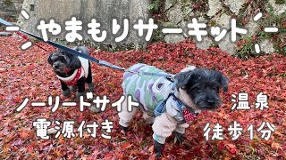 やまもりサーキットで愛犬たちと冬キャンプ！サーカストリポット改造で快適キャンプに ノーリードサイト [upl. by Ahsenot]