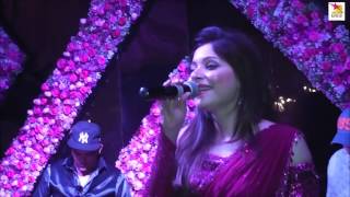 Kanika Kapoor  Live Performance  Delhi [upl. by Adlesirk]