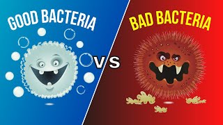 Good Bacteria and Bad Bacteria [upl. by Naiviv120]