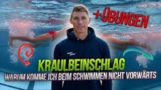 Korrekte Kraulbeinschlag beim Schwimmen [upl. by Aiket806]