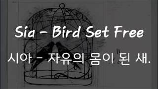 Sia  Bird set free 한국어 가사해석자막 HQ Audio [upl. by Avilys]