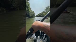 So the Erider definitely ain’t fun to paddle 😂 erider savagegear nrspike nrsfishing fishing [upl. by Enaywd334]