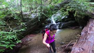 Hiking Double Dipsea trail to Stinson beach Muir woods [upl. by Naasar]