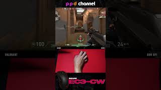 ZOWIE EC3CW  ppd channel [upl. by Namsaj]