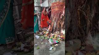 Vat Savitri Puja ka vlog suagat [upl. by Fatma]