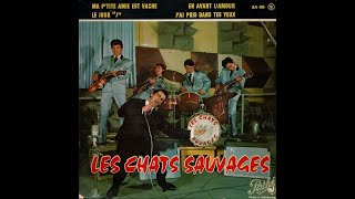 Les Chats Sauvages  Six belles chansons  BB le 04102024 [upl. by Shieh]