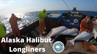 Alaska Halibut Fisherman Episode 2 [upl. by Filberte]