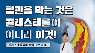 9년 동안 240만 명을 대상으로 연구한 콜레스테롤 수치만큼 중요한 것 콜레스테롤 1편 [upl. by Arri]