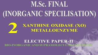 XANTHINE OXIDASE XO METALLOENZYME [upl. by Montana]