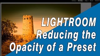 How to Lower the Opacity of a Lightroom Preset [upl. by Pedaias]