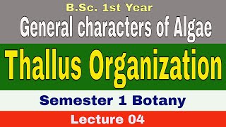 Algae  Thallus Organisation  General characters of algae BSc1st Year Sem 1 SGBAU [upl. by Rudolph]